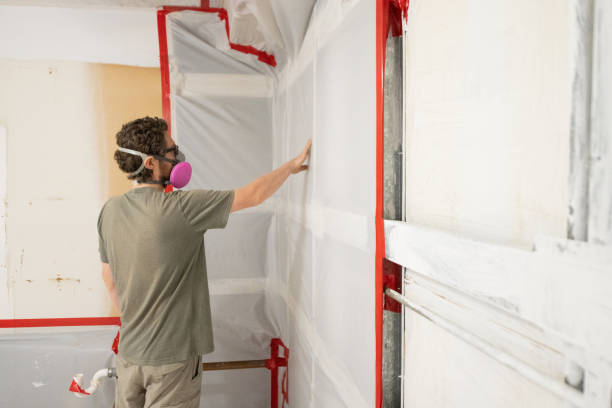Best Mold Odor Removal Services  in Ruhenstroth, NV