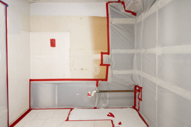 Best Mold Removal for HVAC Installations  in Ruhenstroth, NV
