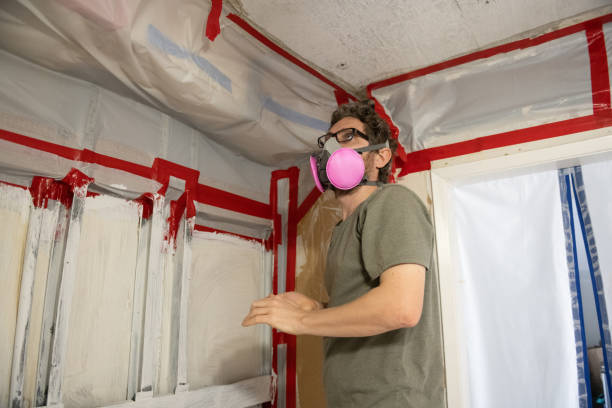 Best Comprehensive Air Testing for Mold Contaminants  in Ruhenstroth, NV