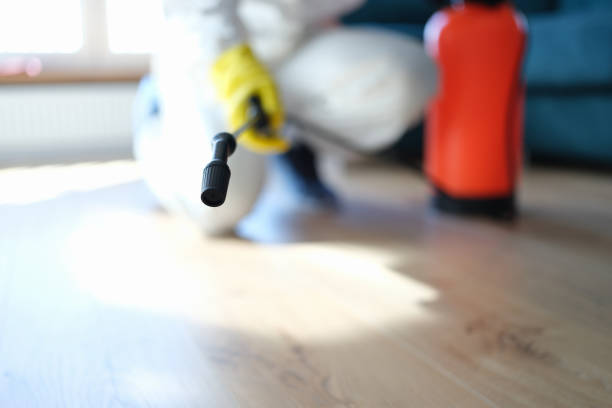 Best Dehumidification Services  in Ruhenstroth, NV